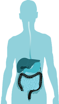 Probiotic Chart